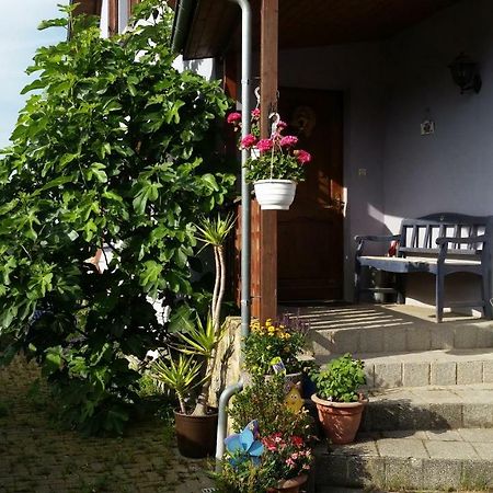 Urlaub Im Elsass Διαμέρισμα Artolsheim Εξωτερικό φωτογραφία