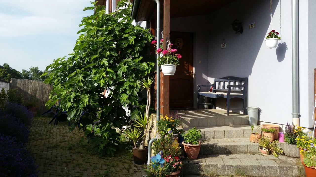Urlaub Im Elsass Διαμέρισμα Artolsheim Εξωτερικό φωτογραφία